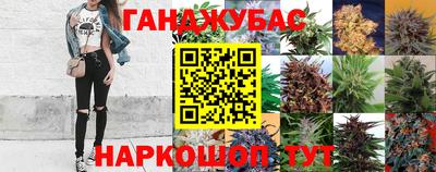 ECSTASY Пушкино