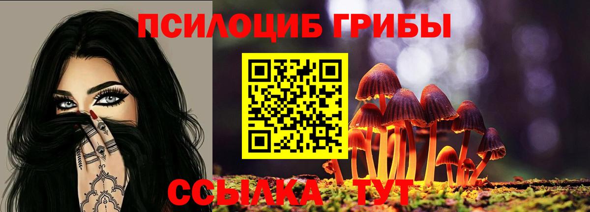 Псилоцибиновые грибы Magic Shrooms  Галлюциногенные грибы прущие грибы  Вход с VPN  Петрозаводск 